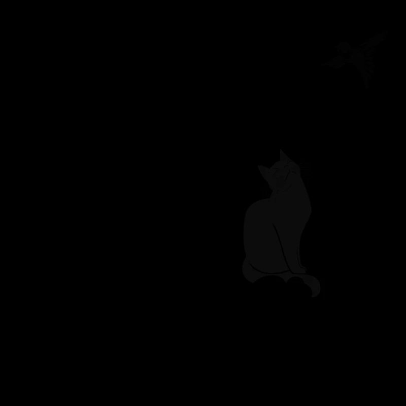 Miao Schwarze Katze