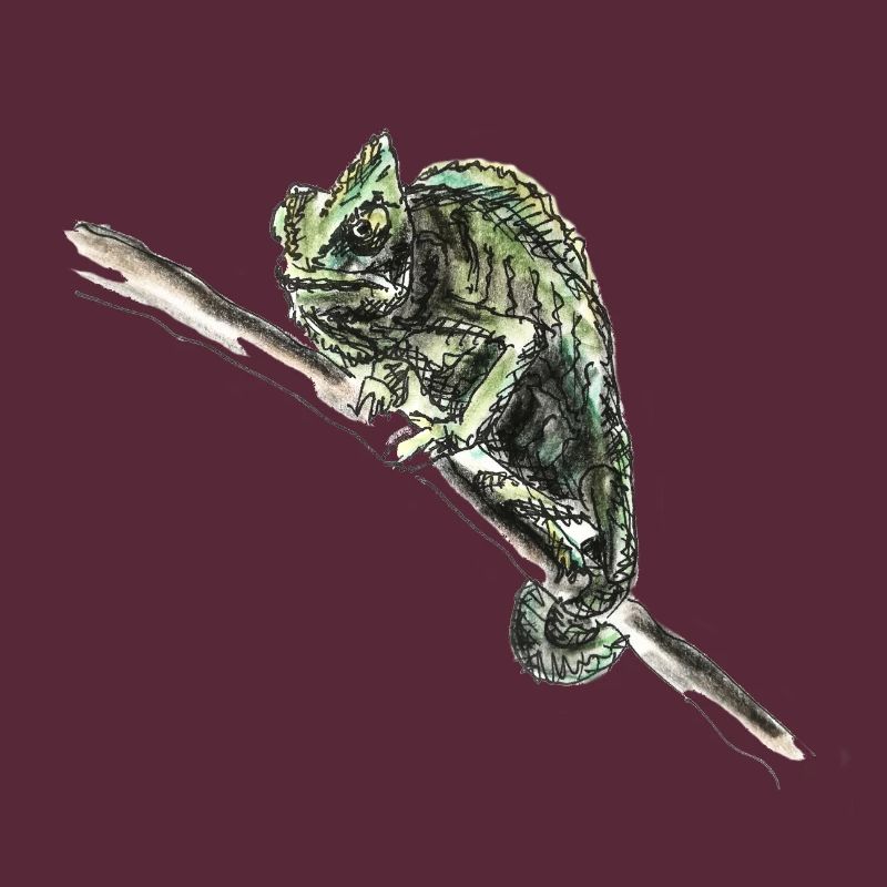 chamäleon