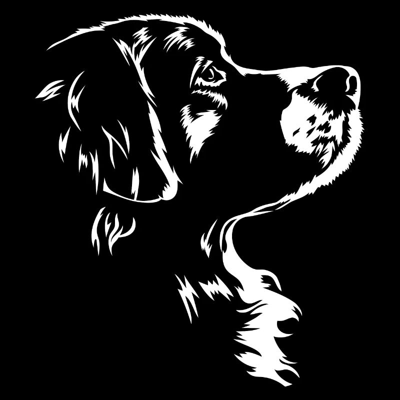 Bouvier Bernois Chien Chien Wilsigns