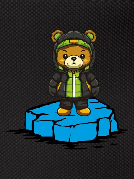 Bear Floe