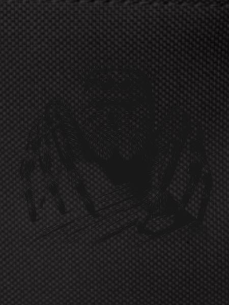 Jumping spider