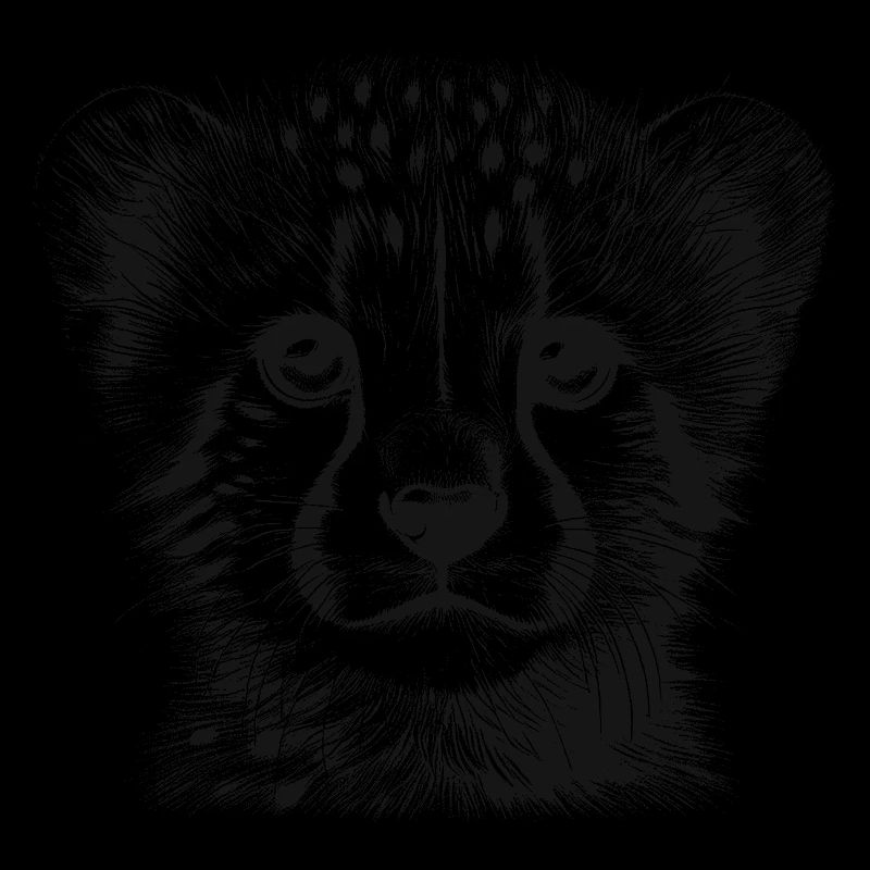 Gepard
