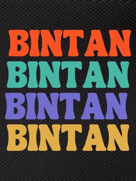 Bintan Indonesia