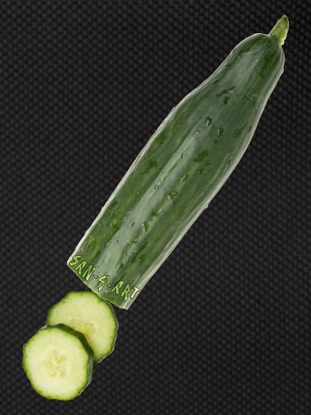 Gurke