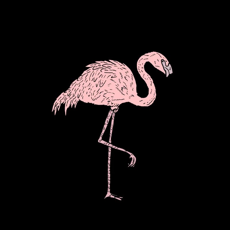 Flamingo - Comic Style