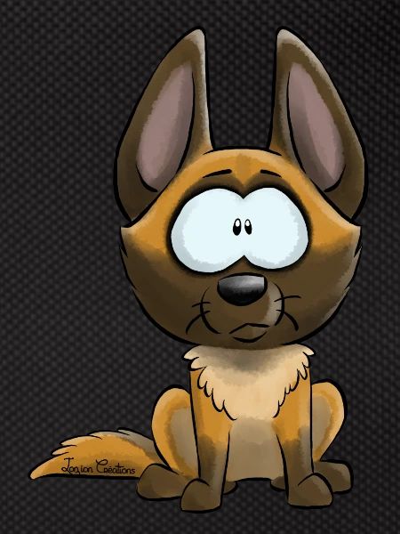 I am Malinois
