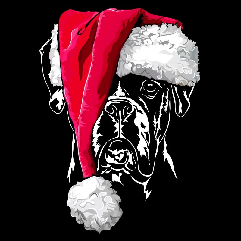 Boxer mit Muetze Weihnachten