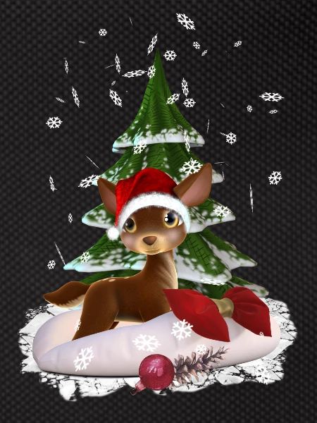 Weihnachtsgeschenk