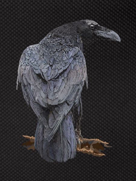 Crow