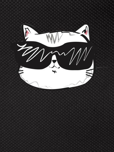 White cat with sunglasses