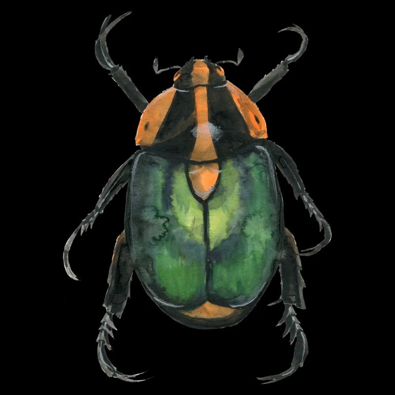 Kaefer2