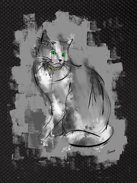 cat