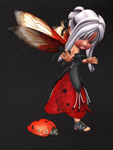 Ladybug Fairy