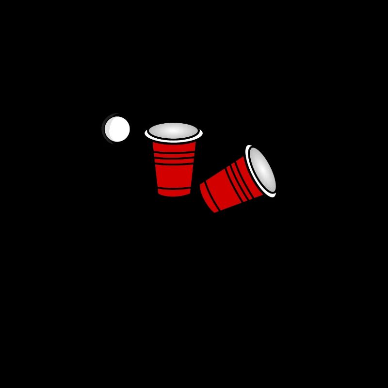 Oops we hit it again Beer Pong