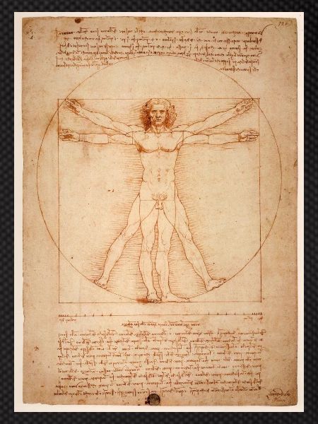 leonardo da vinci humane