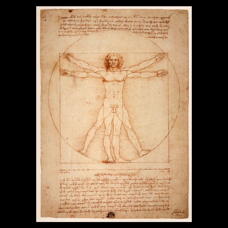 leonardo da vinci human