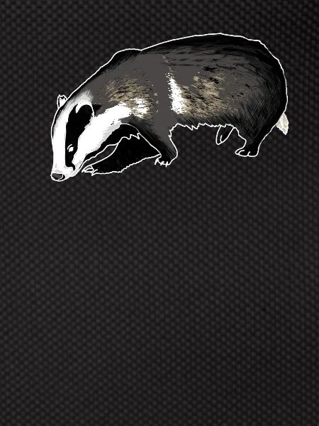 Badger
