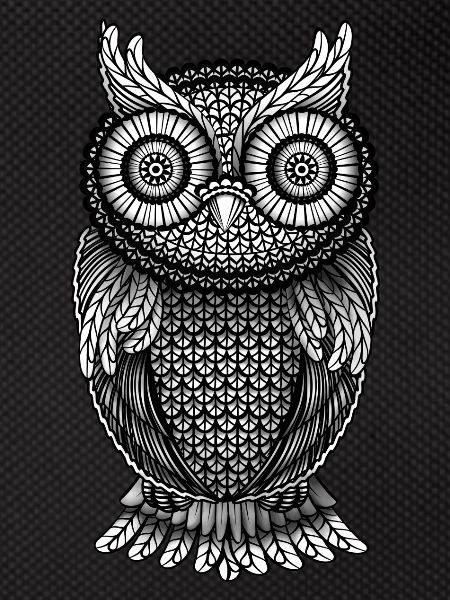Owl Eagle Owl