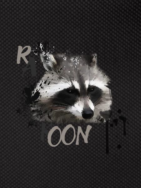 racoon