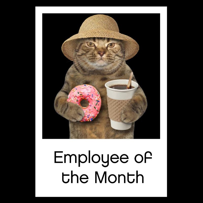 Cat Design -Cat Shirt - Employé du mois