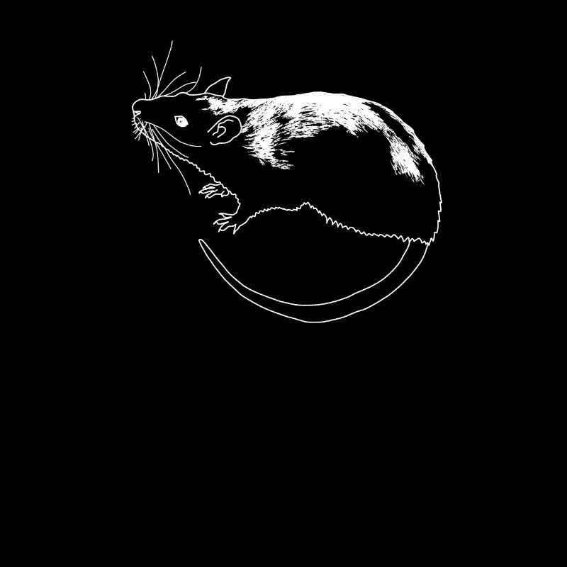 rat