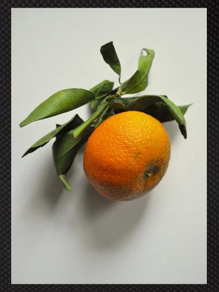 Mandarin