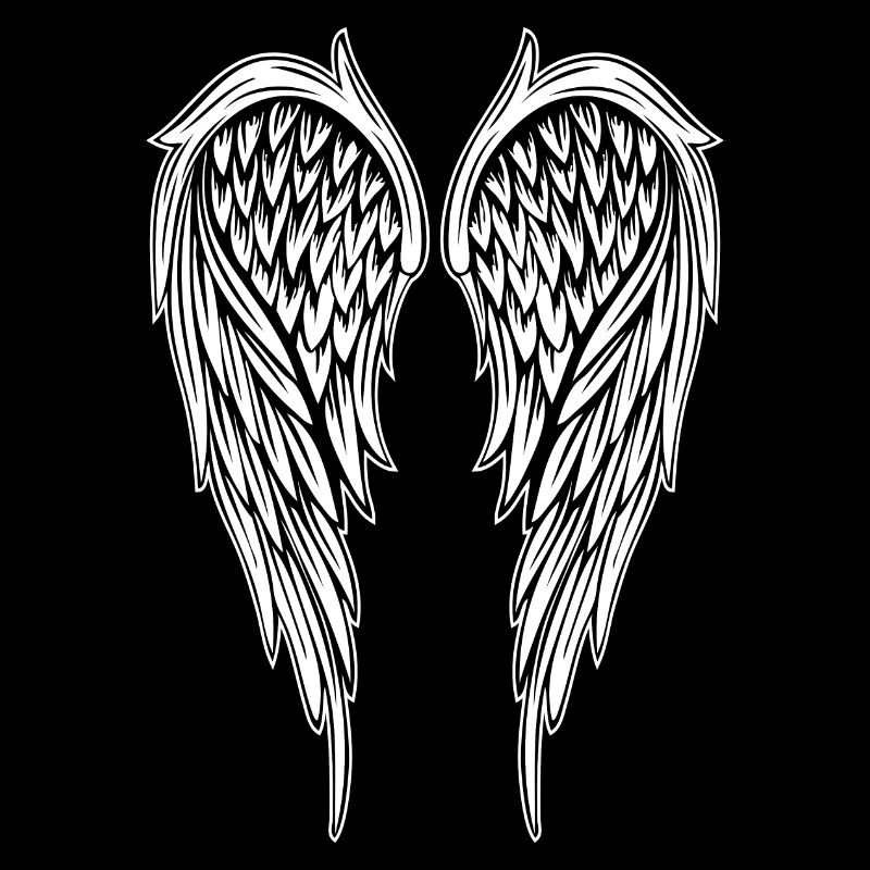 Angel Wing Angel Wings - Large Version