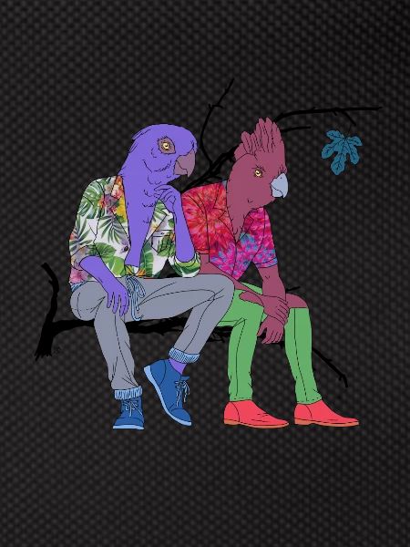Parrots sitting