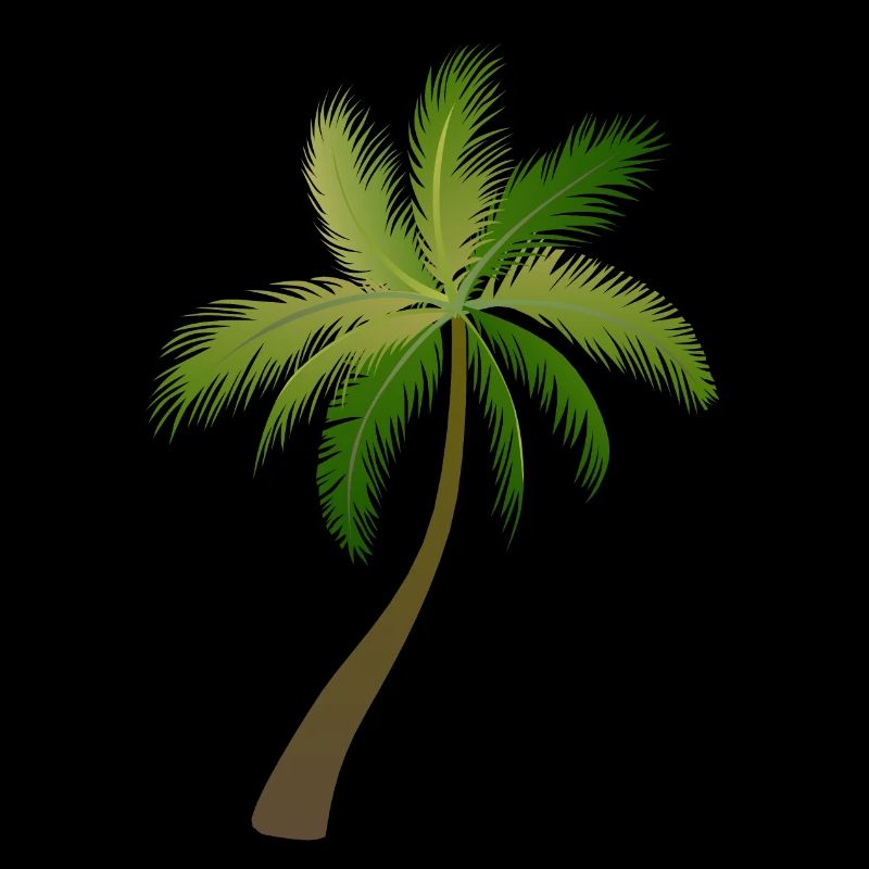 palm tree palm palms