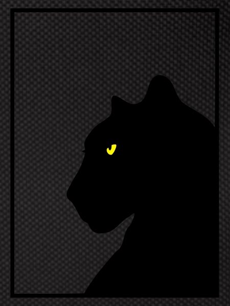 Panther black frame
