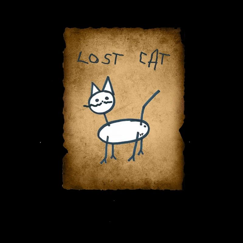 Lost Cat