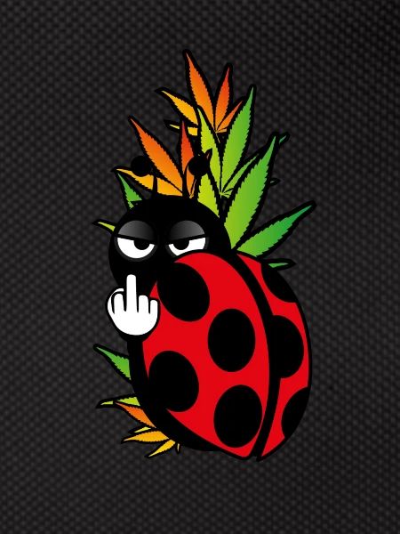 Ladybug