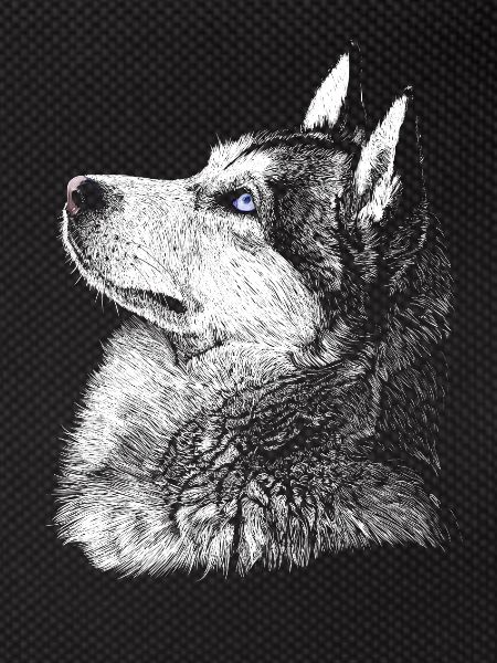 husky