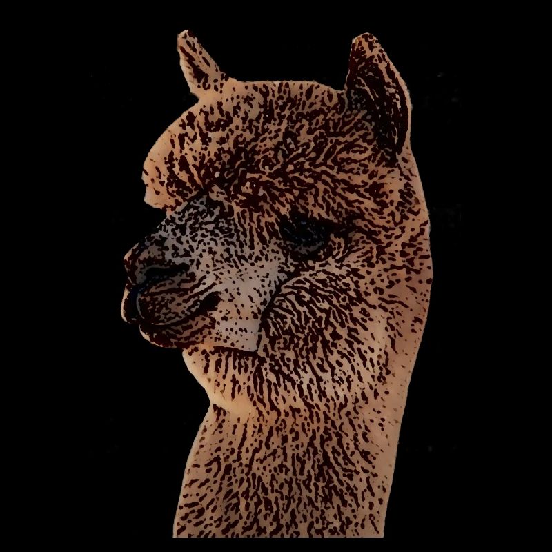 Alpaka, Lama, Geschenk, Llama