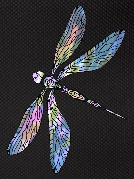Dragonfly