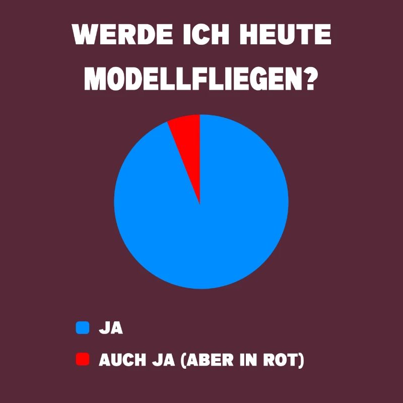 Modellflug Pilot Modellbau Flugzeug Modellbauer