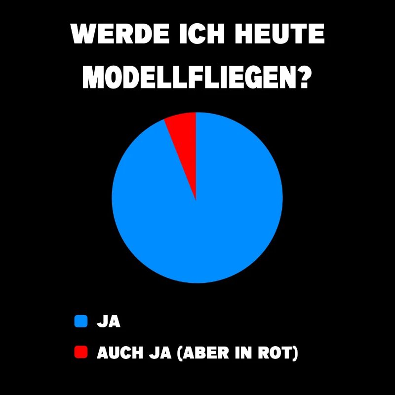 Modellflug Pilot Modellbau Flugzeug Modellbauer