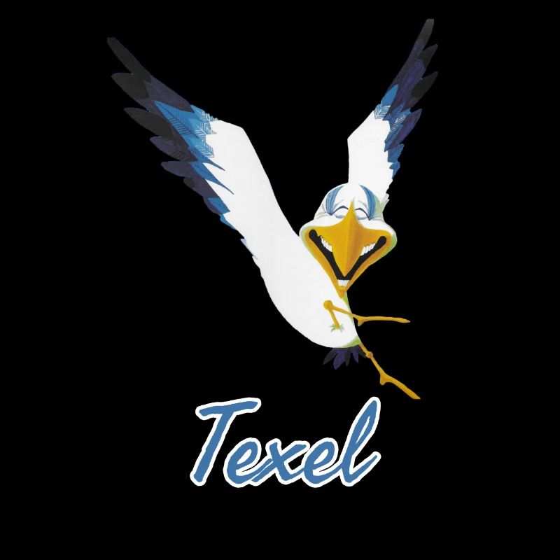 Lachmöwe Texel