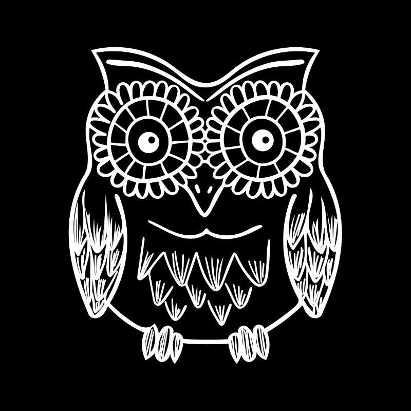 Funny Owl Night Bird