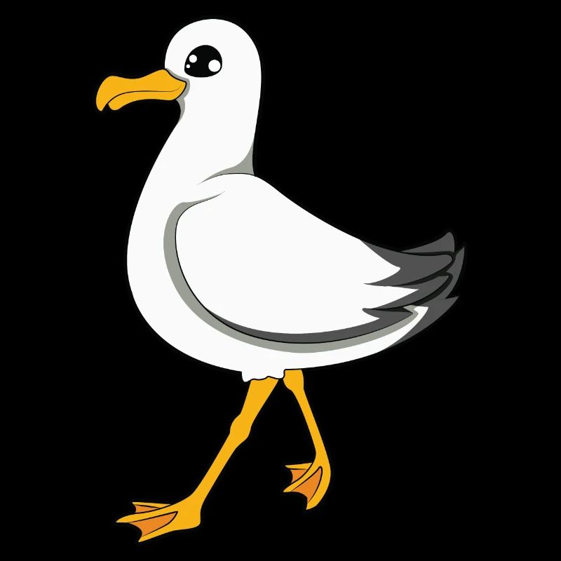 Möwe