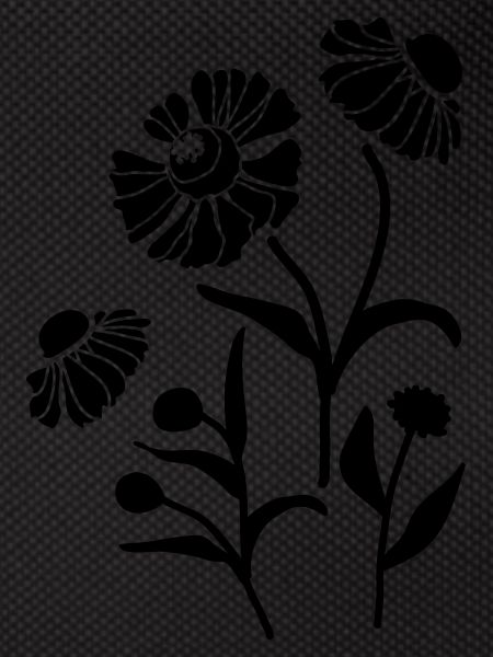 Helenium floral