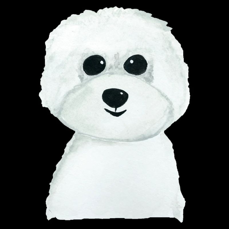 Bichon chien