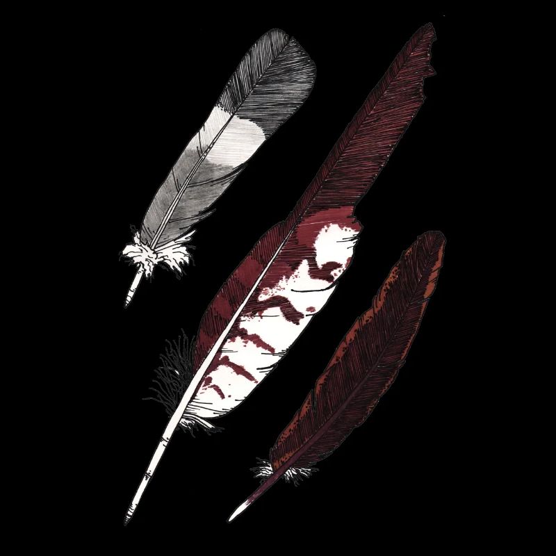 Feather Collection - Three Feathers Hand Drawn