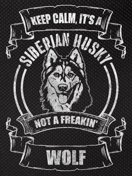 Husky Hunderasse Sibirien Hundebesitzer