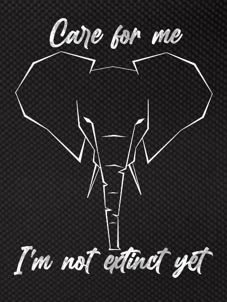 Caring for elephants