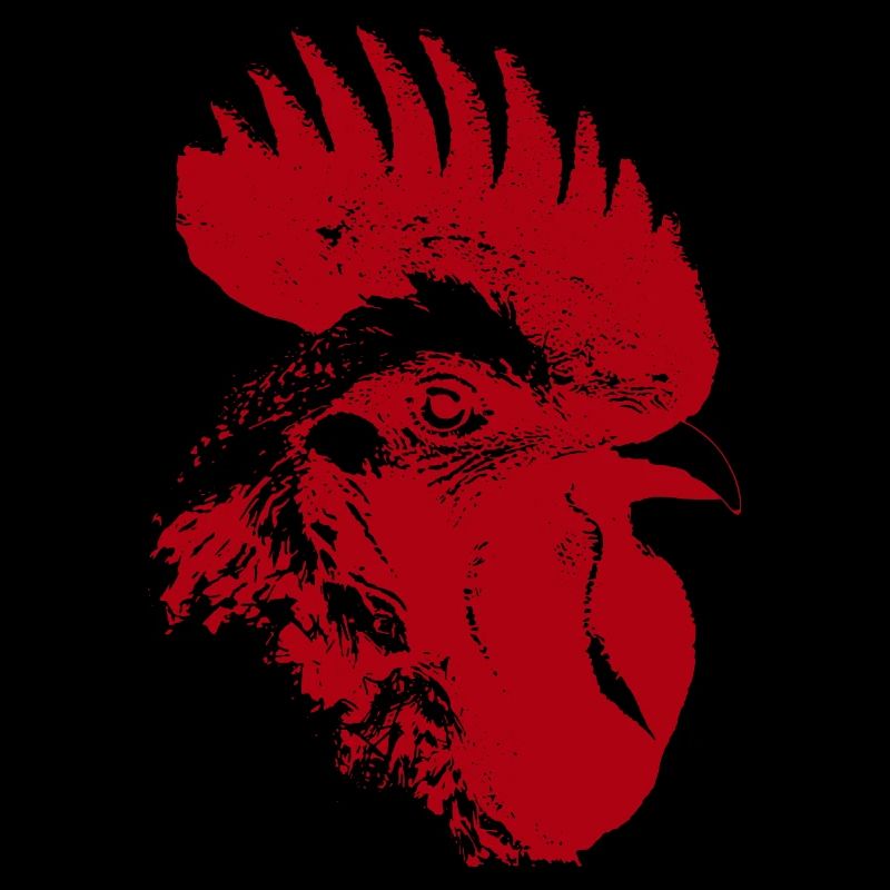 Coq