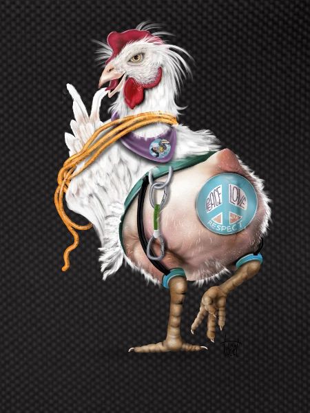 Crazy chicken
