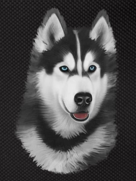 Husky Painted