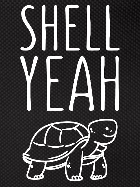 Shell yes turtle
