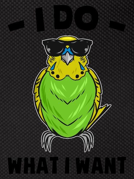 Budgerigar